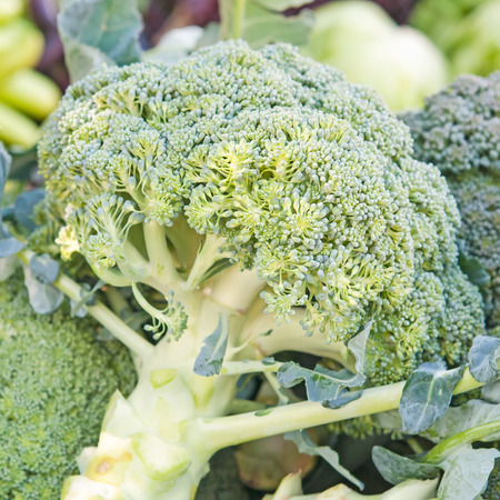 fresh broccoli close upの写真素材