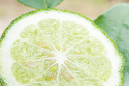 kaffir limeの写真素材
