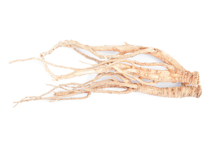 Dried ginseng on white background.の写真素材
