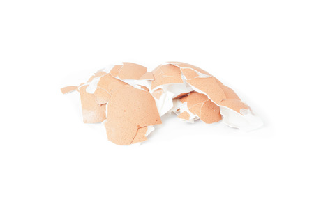 Shell of the egg.の写真素材