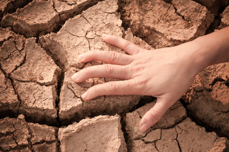 hand on dry landの写真素材