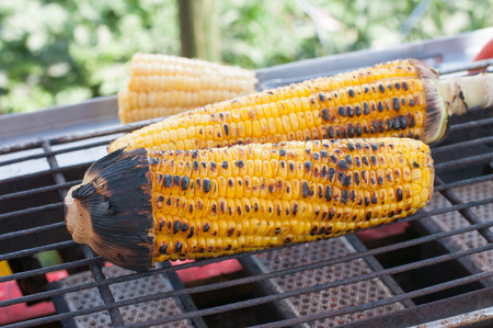 Grilled cornの写真素材