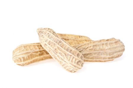 Peanut on white background.