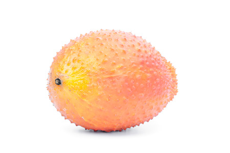 Gac fruit healthy fruit on white background.の写真素材
