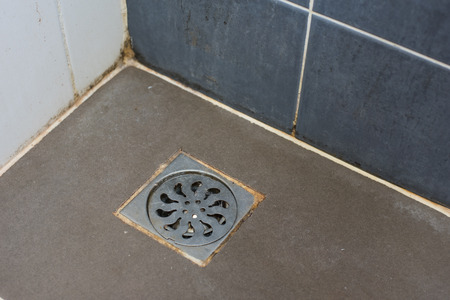 Sewer grate  with different sorts of mold (close-up shot) in the bathroom.の写真素材