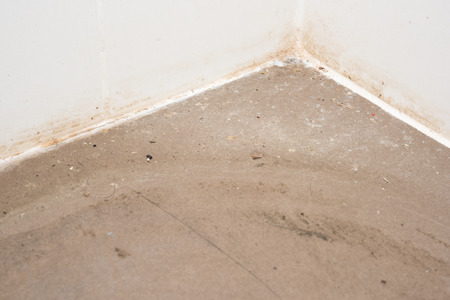 Mildewed walls with different sorts of moldの写真素材