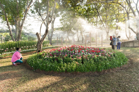 KHON KAEN,THAILAND - DECEMBER 21: View of people walk to tour around the AMAZING FLOWER FESTIVAL 2014 which has the tulips are the highlights. On December 21,2014 in Thung Sang Lake, Khon Kaenのeditorial素材