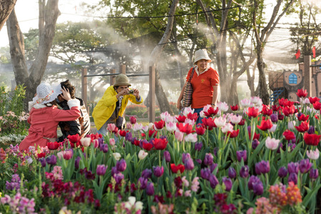 KHON KAEN,THAILAND - DECEMBER 21: View of people walk to tour around the AMAZING FLOWER FESTIVAL 2014 which has the tulips are the highlights. On December 21,2014 in Thung Sang Lake, Khon Kaenのeditorial素材