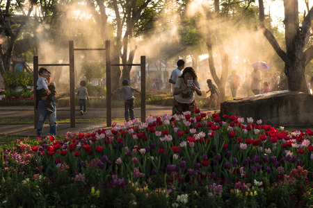 KHON KAEN,THAILAND - DECEMBER 21: View of people walk to tour around the AMAZING FLOWER FESTIVAL 2014 which has the tulips are the highlights. On December 21,2014 in Thung Sang Lake, Khon Kaenのeditorial素材