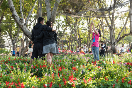 KHON KAEN,THAILAND - DECEMBER 21: View of people walk to tour around the AMAZING FLOWER FESTIVAL 2014 which has the tulips are the highlights. On December 21,2014 in Thung Sang Lake, Khon Kaenのeditorial素材