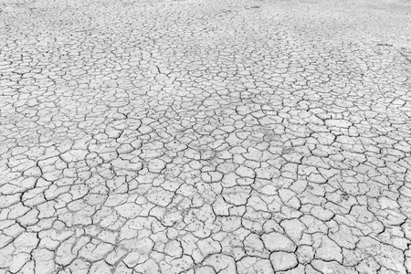 drought landの写真素材
