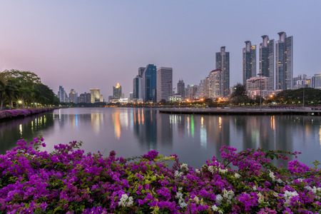 Bangkok city with park at night with reflection of skyline, Bangkok,Thailand