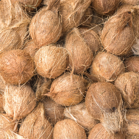 Dry Coconut for produce coconut milk