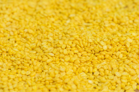 peeled split mung beansの写真素材