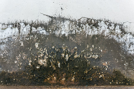 Mildewed wallsの写真素材