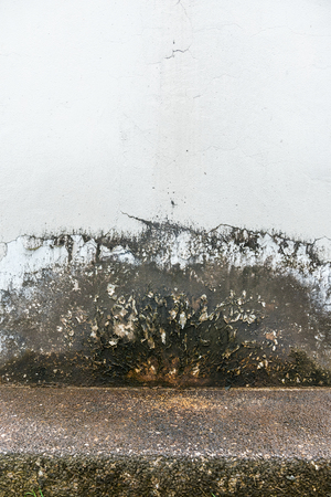 Mildewed wallsの写真素材