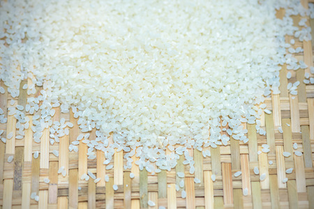 white rice grainの写真素材