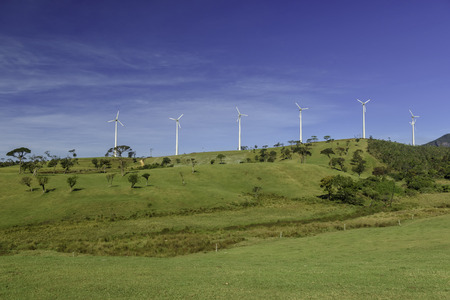 Green meadow with wind turbines generating electricity in Sri Lanka