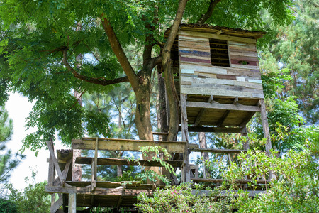 Tree houseの写真素材