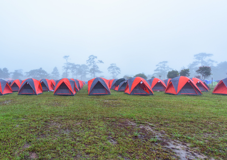 Camping and tent middle of the meadow in mist. の写真素材