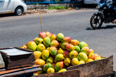 Sweet mango fruits at market, India.の写真素材