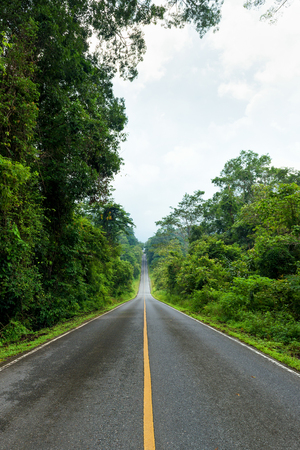 Empty asphalt road through the green forestの写真素材