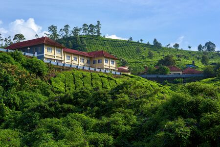 Beautiful village and tea plantations in Munnar, Kerala, India.