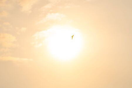 Sun shining and bird flying over a heavenly sunset skyの写真素材