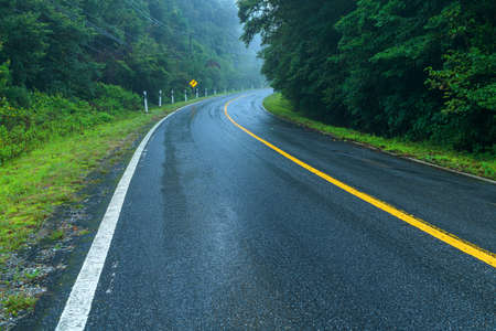View asphalt road in the rainforestの写真素材