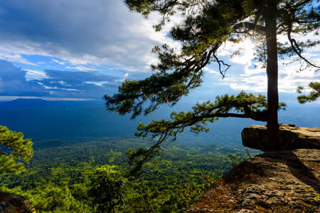 Beautiful viewpoint of Pha Lom Sak cliff at Phu Kradueng National Park, Thailand.