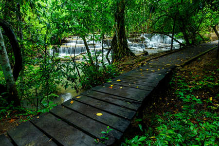 Wooden walkway and waterfall in forestの写真素材