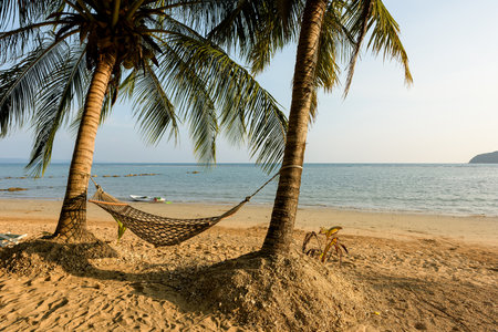 Hammock between two coconut trees on a tropical island with beautiful beachの写真素材