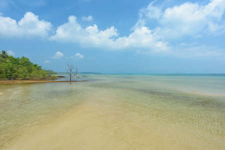 Beautiful wave of the sea on the sand beachの写真素材