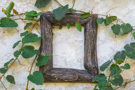 Wooden border on cement wall with green leaves.