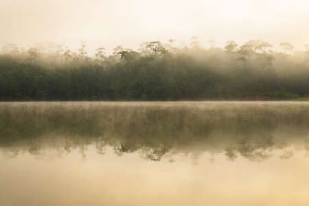 View of sunrise over the lake in nation park, Beautiful rainforest landscape with fog in morning,...