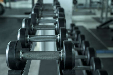 Rows of dumbbells in the gym.