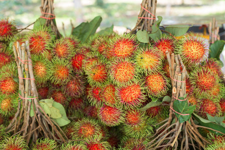 Close up of rambutan (Nephelium lappaceum)