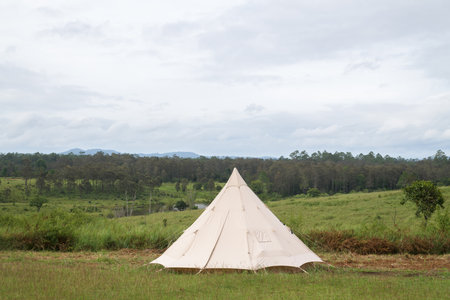 Camping and tent middle of the meadow in beautiful forest view.