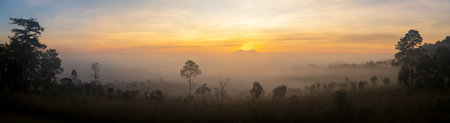 Panoramic beautiful sunrise landscape from the forest in the national park. Foggy clouds above tree, Thailand.の写真素材