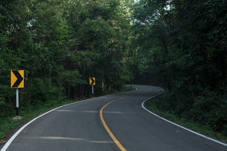 Beautiful curved road in the forest. Road background.