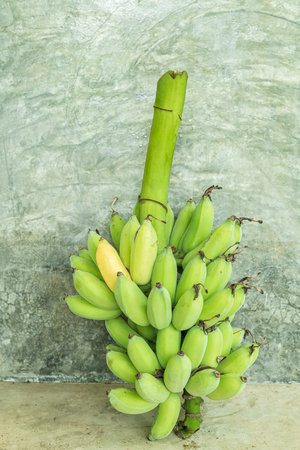 Close up of green banana on wall. Fruit background.の写真素材