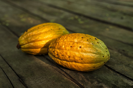 Cocoa fruits on wooden background.の写真素材