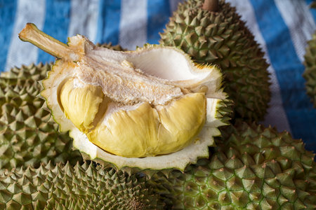 Close up of durian on the table. Fruit background.の写真素材