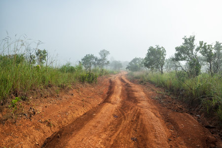 Landscape of gravel road in countryside with meadow in the fog. Road in rainy season. Side view of...
