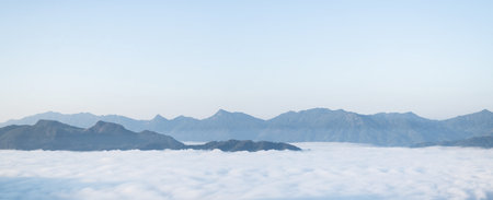 Misty landscape with forest. Foggy clouds above tree. Panoramic mountain in deep countryside. nature...