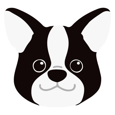 Flat colored Boston Terrier front headのイラスト素材
