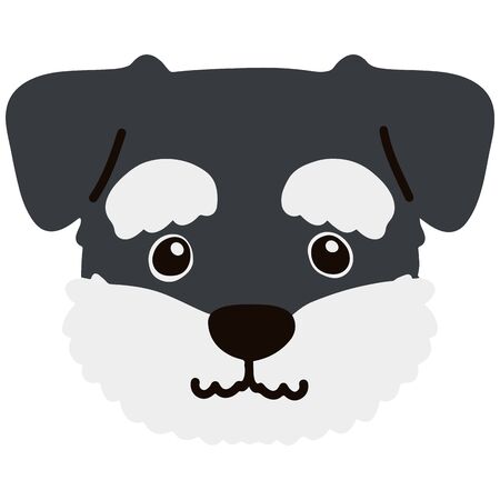 Miniature Schnauzer front head flat colorのイラスト素材