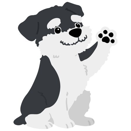 Miniature Schnauzer sitting front flat colorのイラスト素材