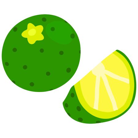 Flat colored simple green lime slicedのイラスト素材