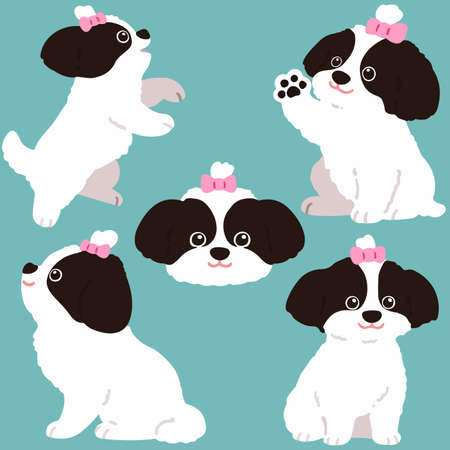 Set of flat colored Shih Tzu dog illustrationsのイラスト素材